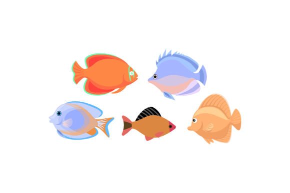 Aquarium Fish Decorative Designs for Creative Projects