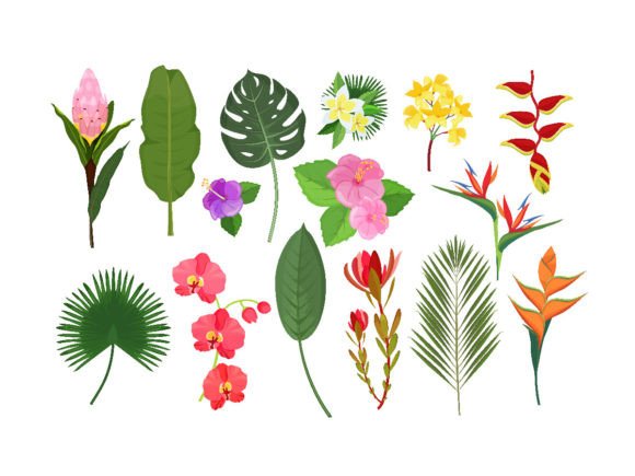 Decorative Exotic Flowers: Elevating Visual Narratives in Modern Design