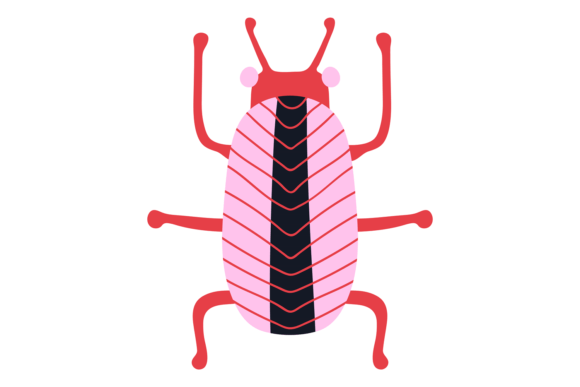 Funny Bug. Decorative Beetle. Doodle Sty: A Practical Review for Digital Creators