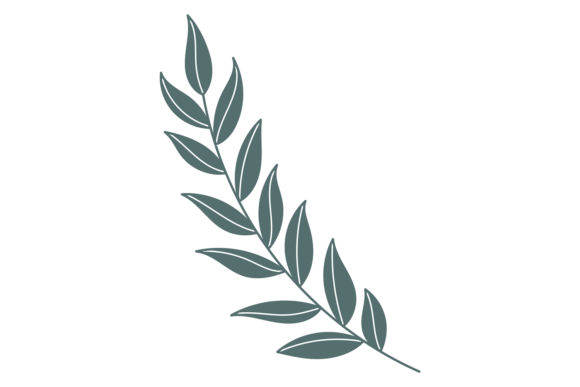 Green Tree Branch. Decorative Herbal Pri