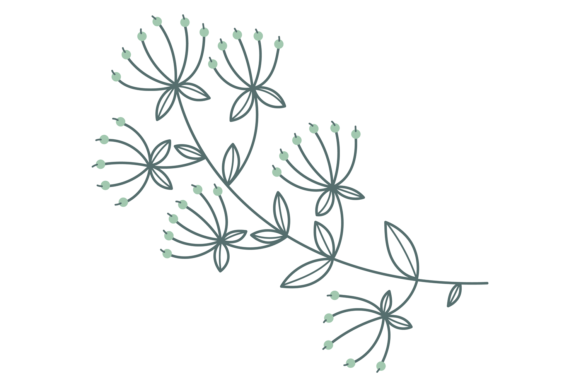 Hand Drawn Botany. Decorative Floral Pri